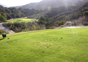 Eagle Glen