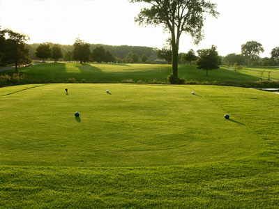 Huron Meadows Par 4