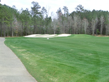 Elevated Greens