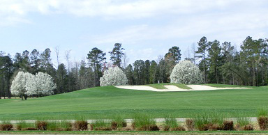 Myrtle Beach Springtime Golf