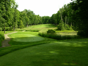 Golf in Southeast Michigan