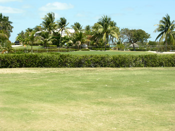 Approach to 18th Green at Sombrero